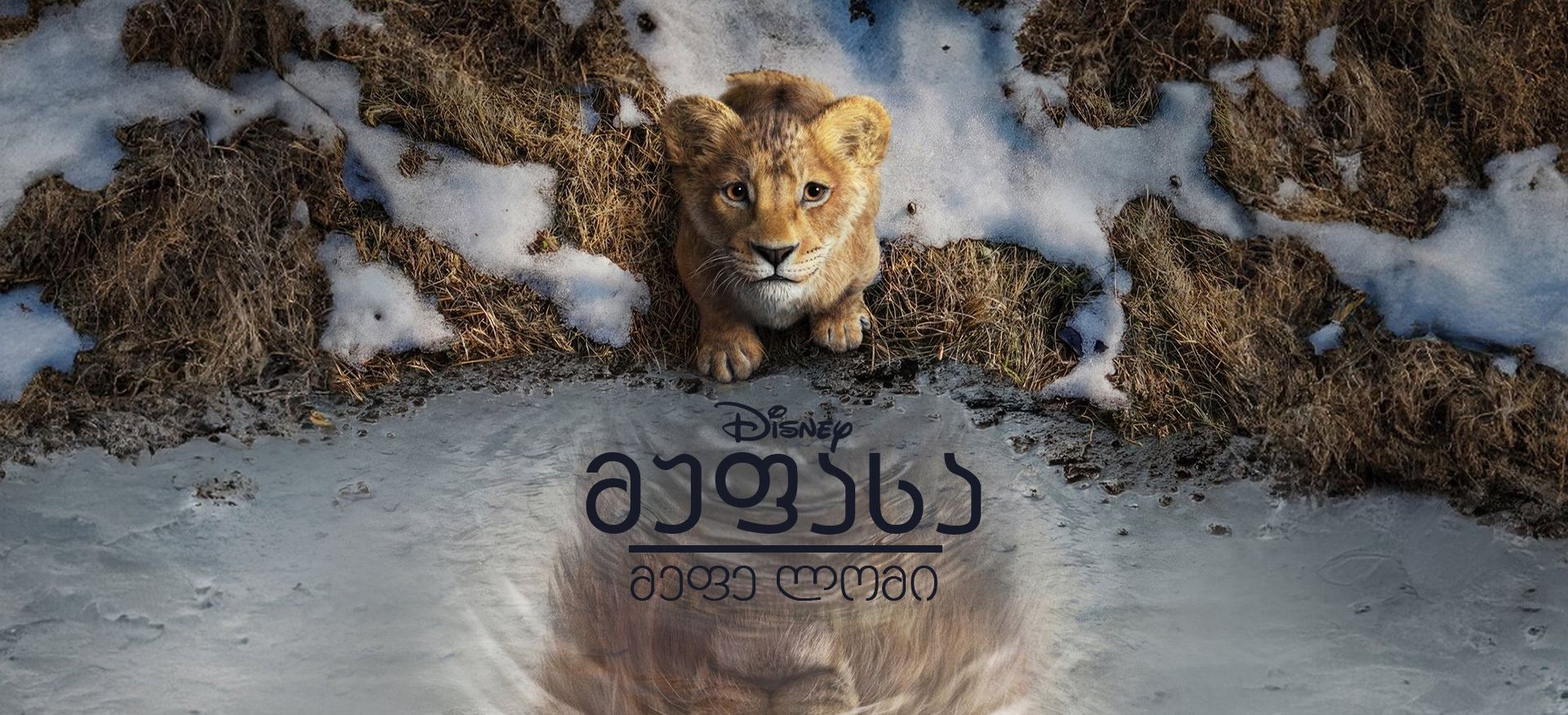 მუფასა: მეფე ლომი